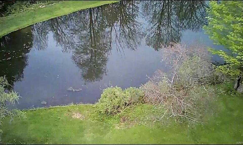 2nd image of 10796 Eastland Rd