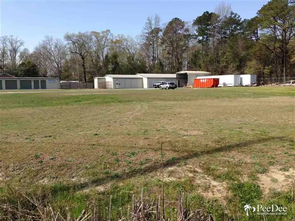 602 W Smith Ave, Darlington, SC 29532