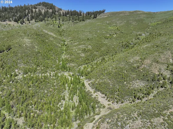 0 Nfs Rd #1680, Unity, OR 97884