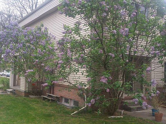 2nd image of 24749 Bashian Dr #11