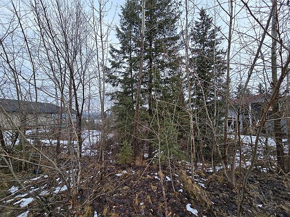 5th image of 2557 Cedar Ridge Ct