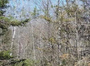 Badger Ranch Rd, White Lake, WI 54491