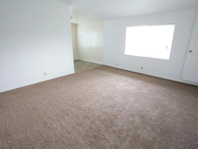 615 Alpha Ct — Photo 8