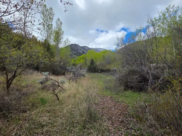 N/a Oliver Dr, Salmon, ID 83467