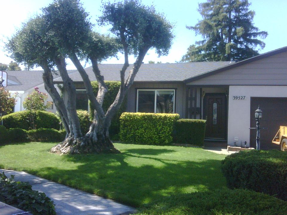 Beautifully landscaped with gardening service included