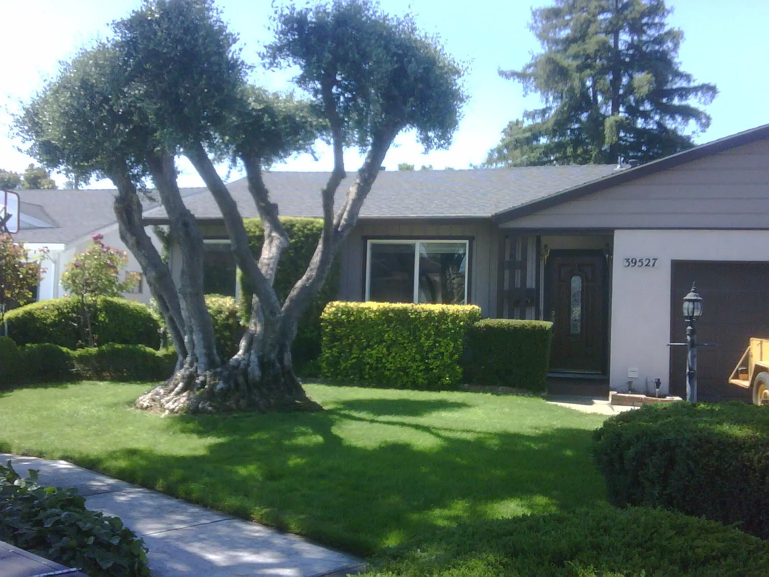39527 Wilford Ct photo 1
