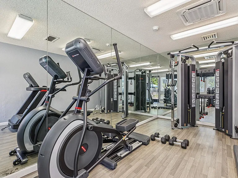 PTA Gym (1)
