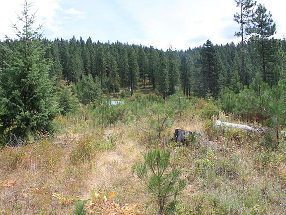 2nd image of Nna Millers Road
