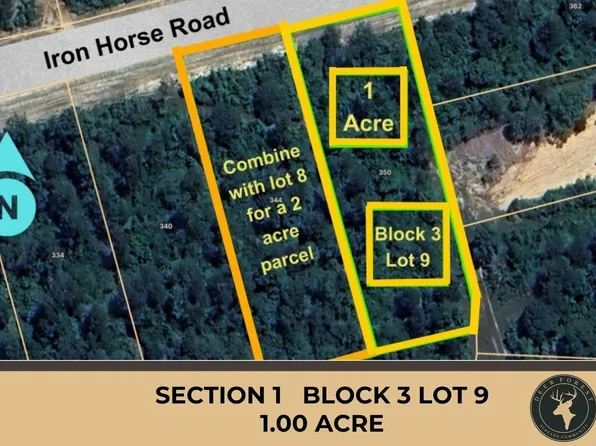 350 Iron Horse Rd Lot 9, Willis, TX 77378