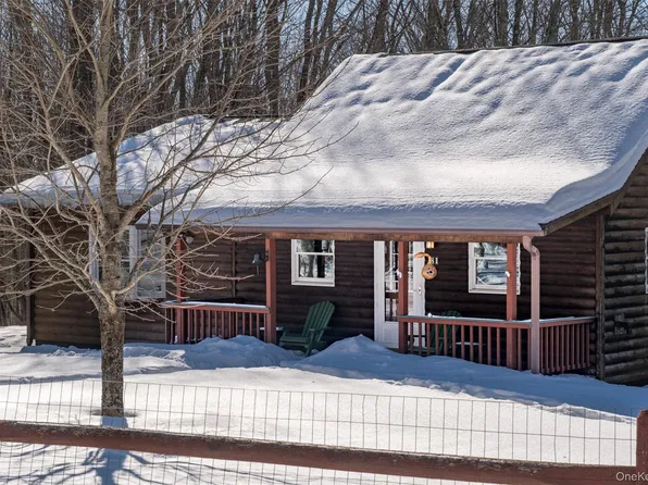 81 Macdougal Road, Roscoe, NY 12776