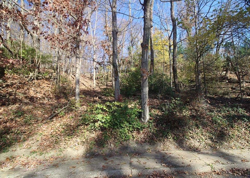 1st image of 0 Woodlawn Ave