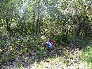 1st image of 3359 Owenwood Dr