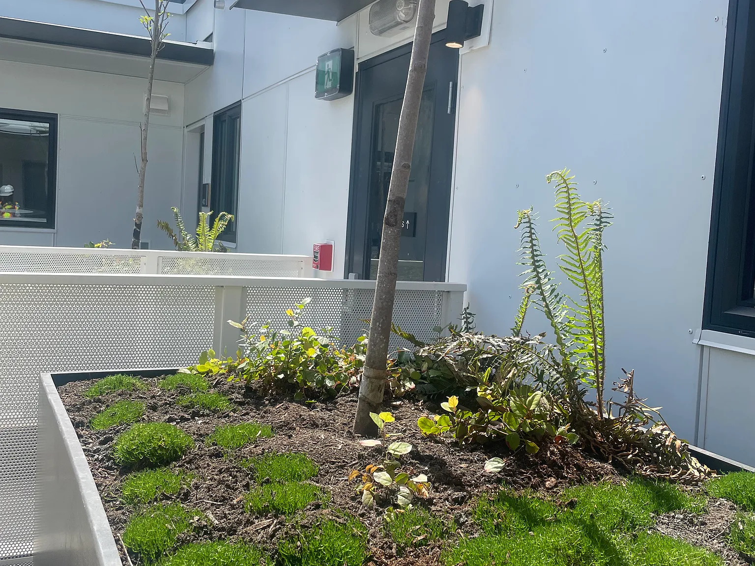 1 bed, 573 sqft, $2,500 — Photo 3