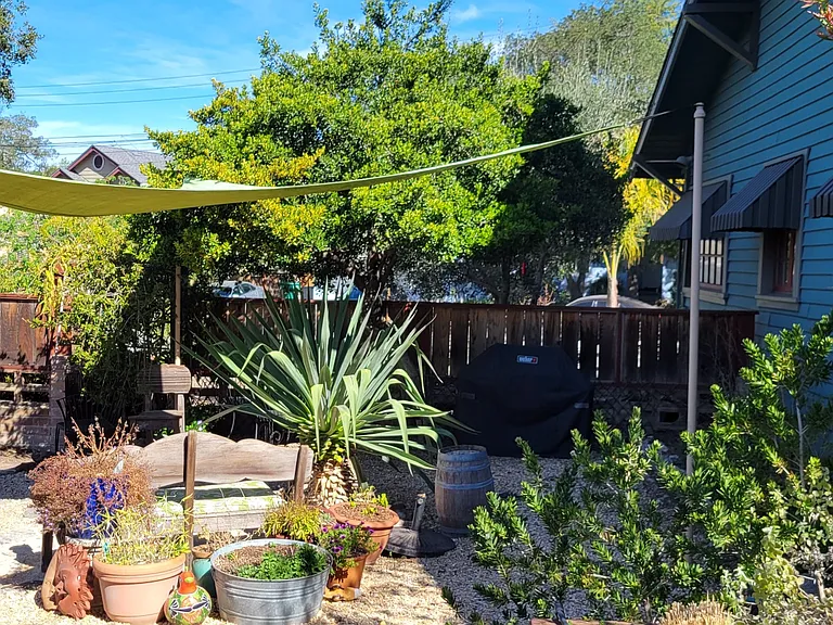 Shared yard