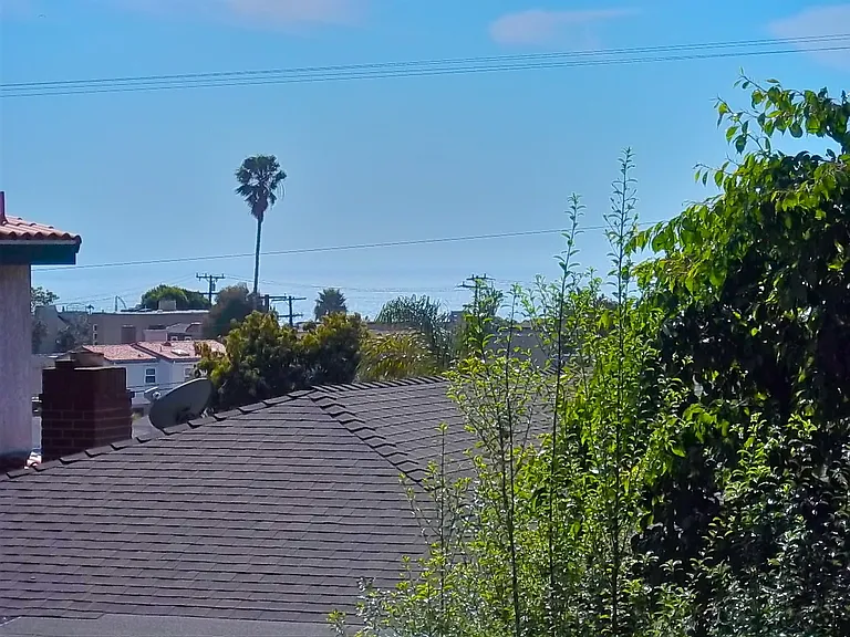 1527 Golden Ave — Photo 19