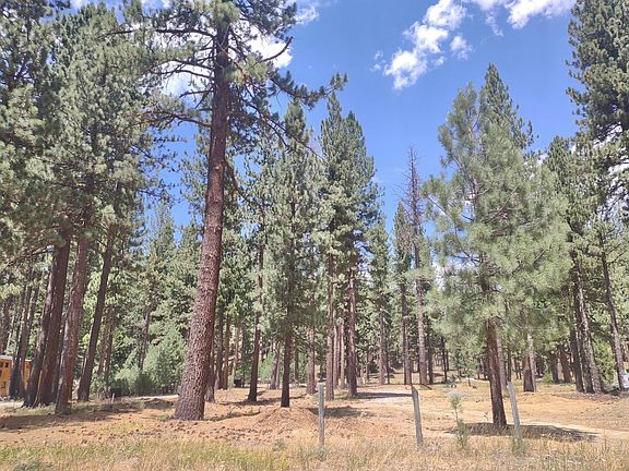 2nd image of 329 Clio State 40a Rd