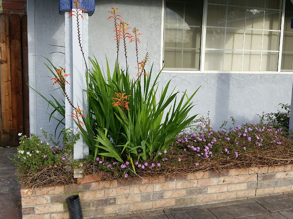 2nd image of 2080 Kingfisher Way