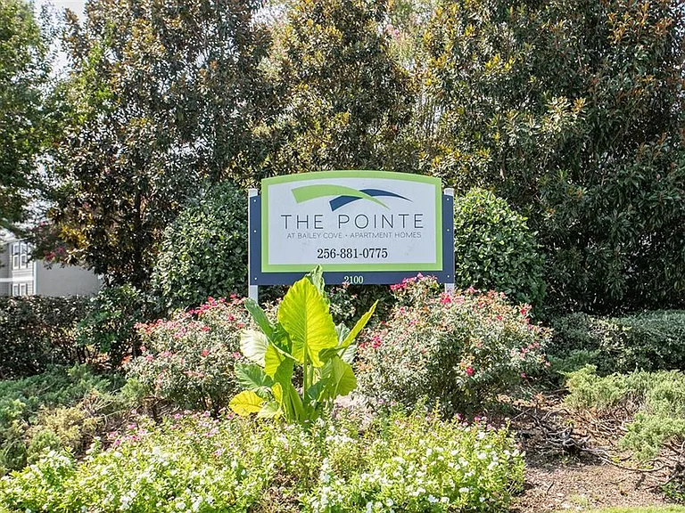The Pointe at Bailey Cove — Photo 18