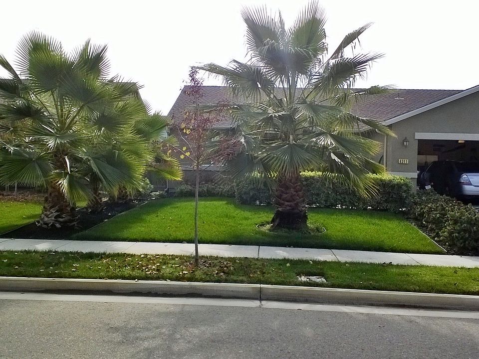 Move in Ready 3/2