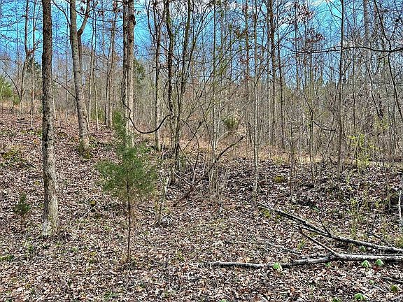 5th image of 0 Rayl Hollow Rd Lot 6