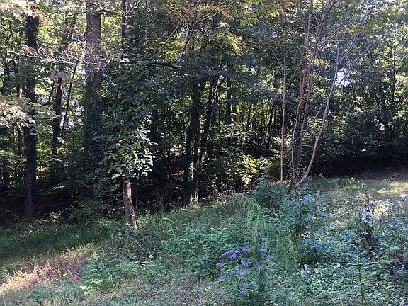 3rd image of 101 Sherwood Ln SE