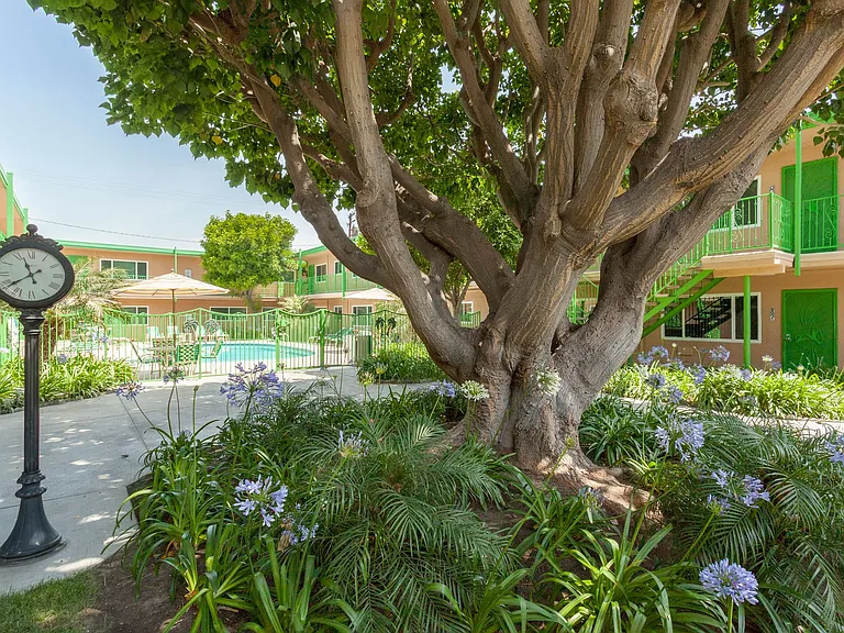 Flamingo Apartments — Photo 9