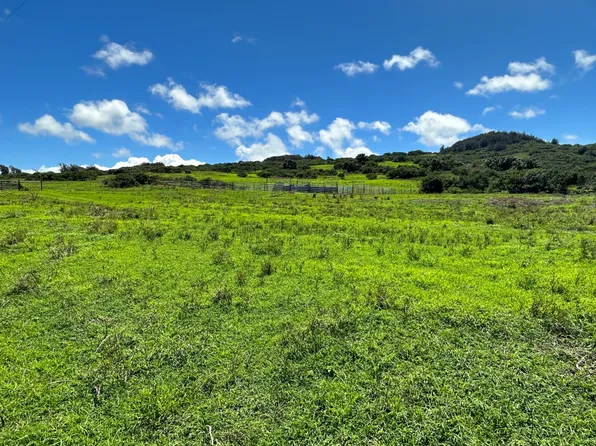 56-3221 Puu Mamo Dr Lot A, Hawi, HI 96719