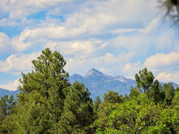 1343B Wheeler Place, Pagosa Springs, CO 81147