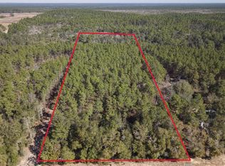 J W Hollington Rd, Freeport, FL 32439