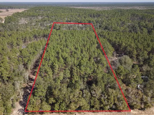 J W Hollington Rd, Freeport, FL 32439