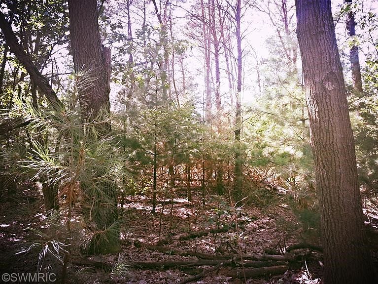 2nd image of 7119 Mid Timber Dr