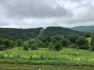 Cummings Rd, Masonville, NY 13804