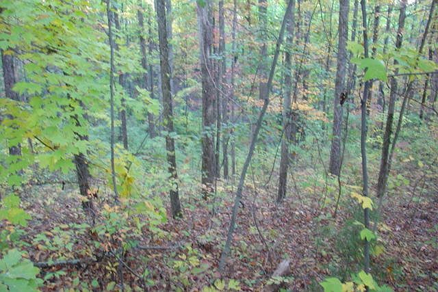 2nd image of 202 Barton Rd