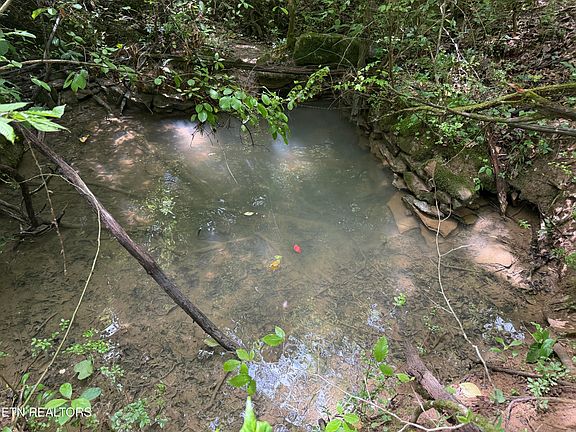 5th image of 0 Thorngrove Pike