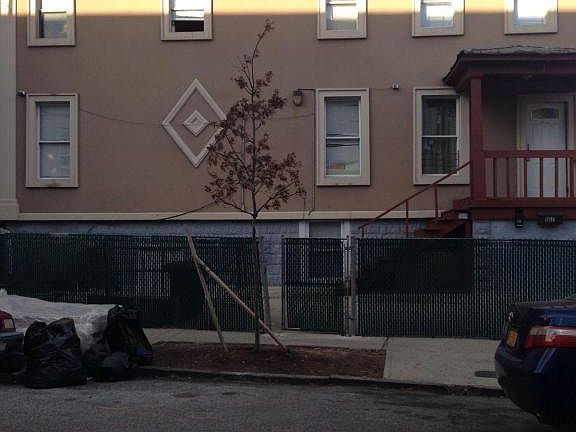 5th image of 107 Albion Pl