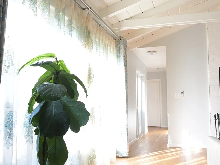 175 Arlene Dr — Photo 11