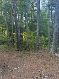 0 Cedar Hill Ln, Henrico, NC, 27842