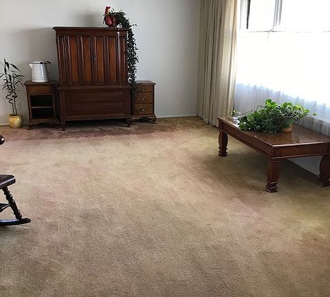 Large/Sunny Living Room~