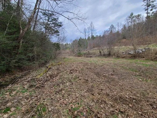 Bear Branch Rd, Del Rio, TN 37727