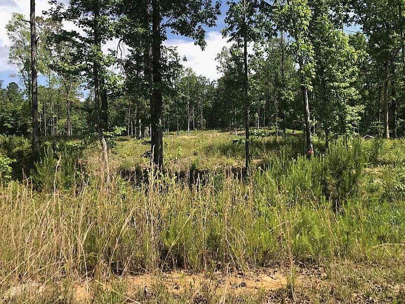 1st image of 592 Oak Haven Trl