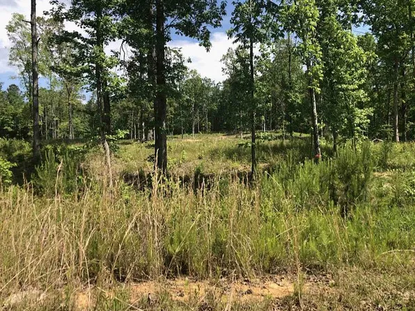 592 Oak Haven Trl, Columbiana, AL 35051