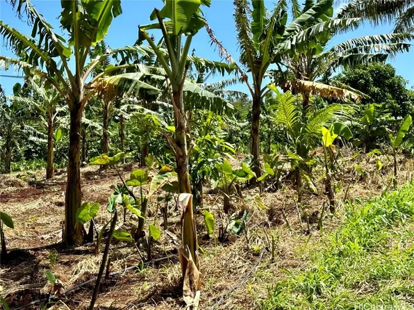 LOT 1 Plantation Rd, Kahuku, HI 96731