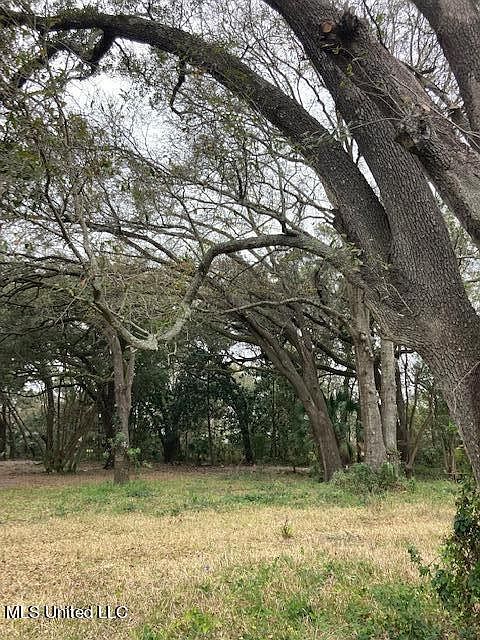 2nd image of 3923 Orchard Rd