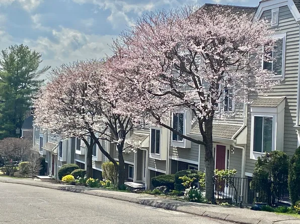 71 Aiken Street APT B13, Norwalk, CT 06851