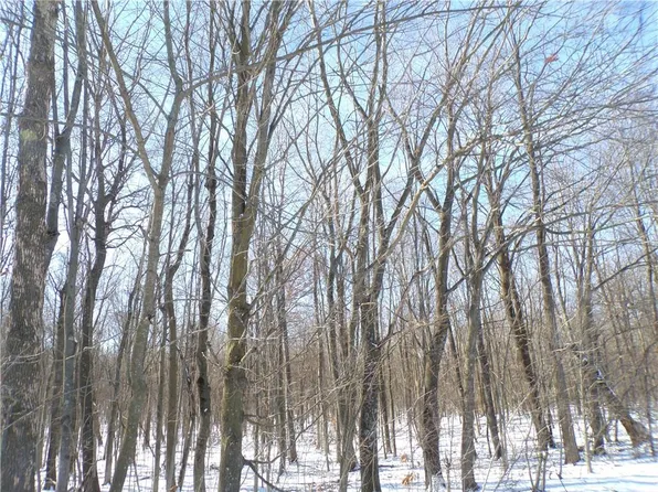 40 acres St. Bridget Drive, Cadott, WI 54727