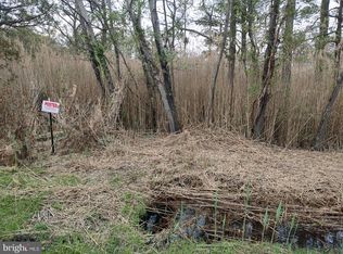 Elliott Island Rd, Vienna, MD 21869