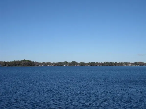 18618 WAYNE ROAD, ODESSA, FL 33556