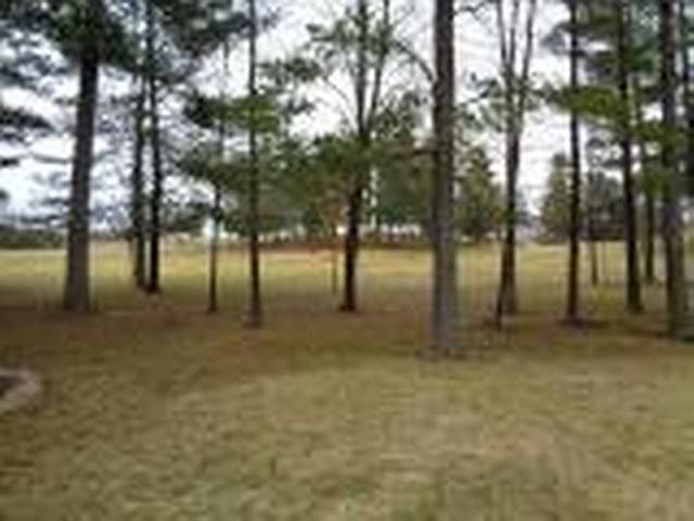 2nd image of 5560 Fife Ct