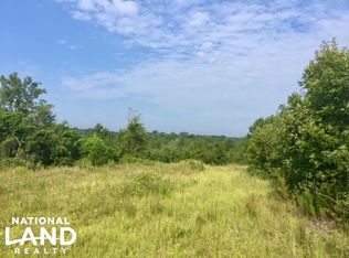 1136 Nursery Rd, Buena Vista, GA 31803