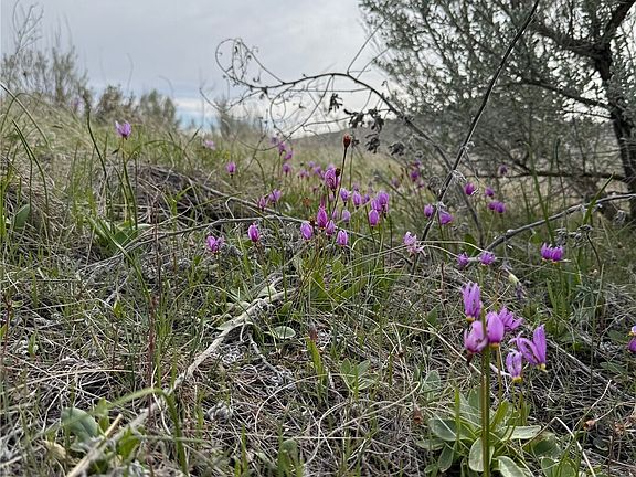 5th image of 2830 Antoine Creek Road
